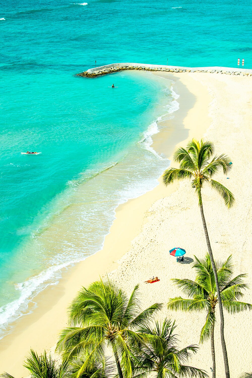 コロナを経験した新しい楽園の姿 ハワイ オアフ島の街角から 写真 17枚目
