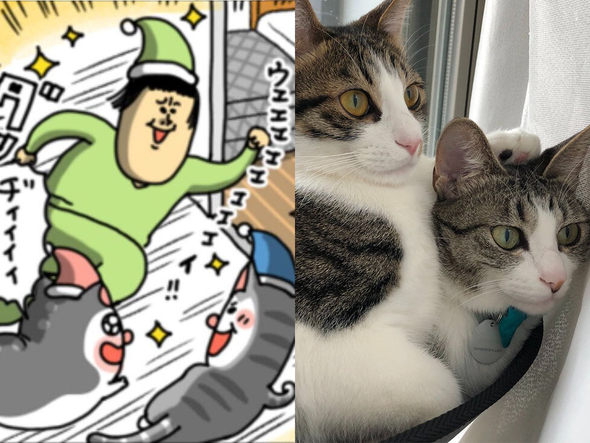 【まめきちまめこ】「最近マンガの描き方に悩んでて…」大人気ブロガーが初めて明かす、愛猫2匹を“人間らしく”描く理由とは?