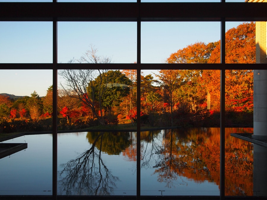 ロビーから覗く紅葉が池に反射し、迫力をさらに増しています。