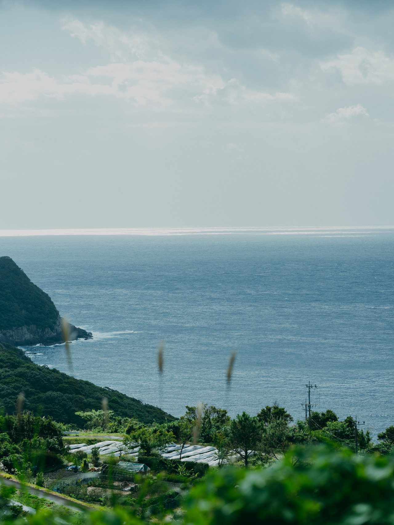 2024.11.28 鹿児島県南さつま市坊津町。