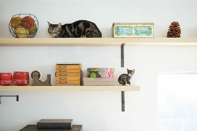 飼い主が安心して猫と暮らせることが、猫の幸せにもつながる。