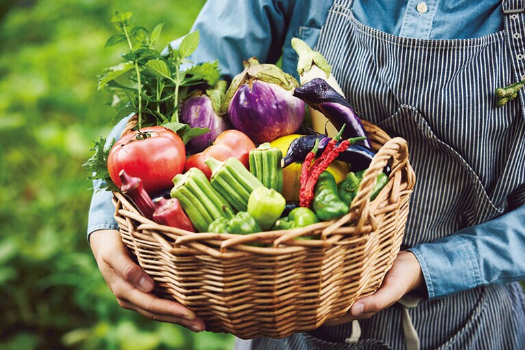 農を楽しむ旅のスタイル「アグリツーリズモ」