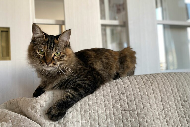 キリ ♀ 10カ月。