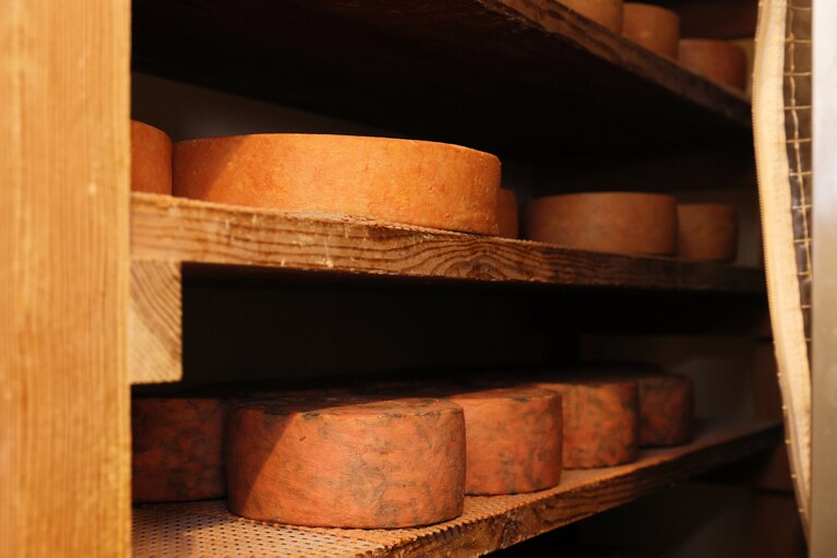 「KARAMATSU Chatora GURA」は4ヶ月熟成してから出荷。