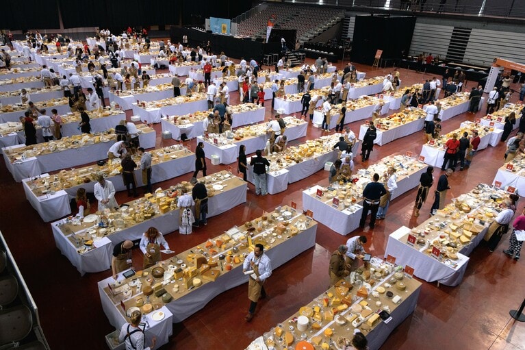 昨年ポルトガルで開催された「World Cheese Awards2024」の審査会場。