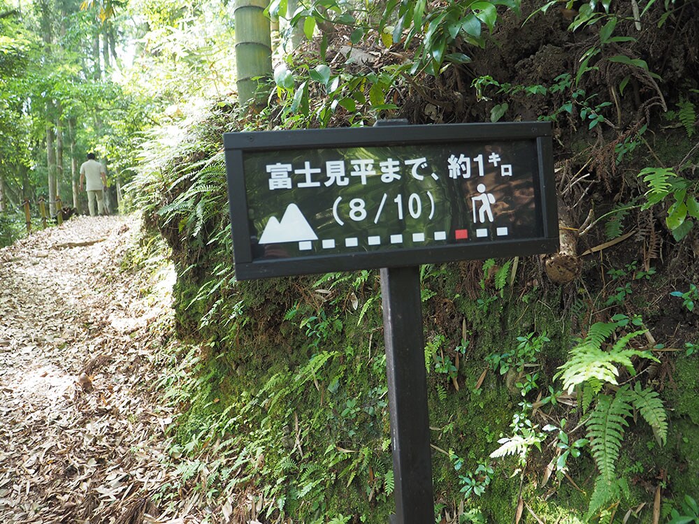 富士見平までの道のりを励ますかのように看板が立っている。
