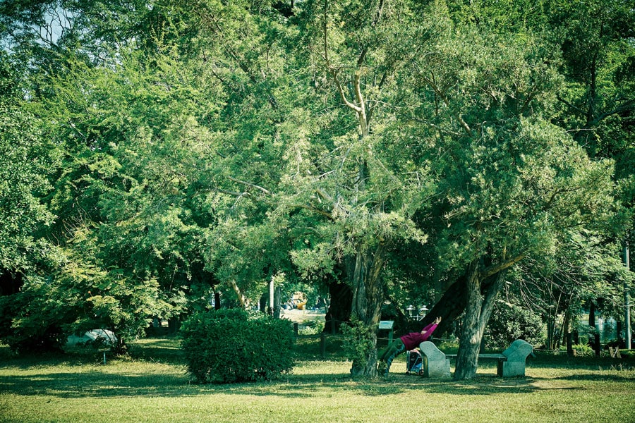 「台南公園の大きな木の下で思いっきりストレッチしている人の姿が面白くて撮りました」。