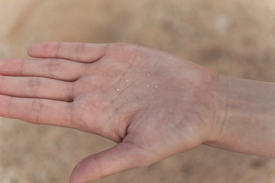 星の砂は、あたたかな海に生息する有孔虫という原生動物の殻が、砂浜に打ち上げられたもの。