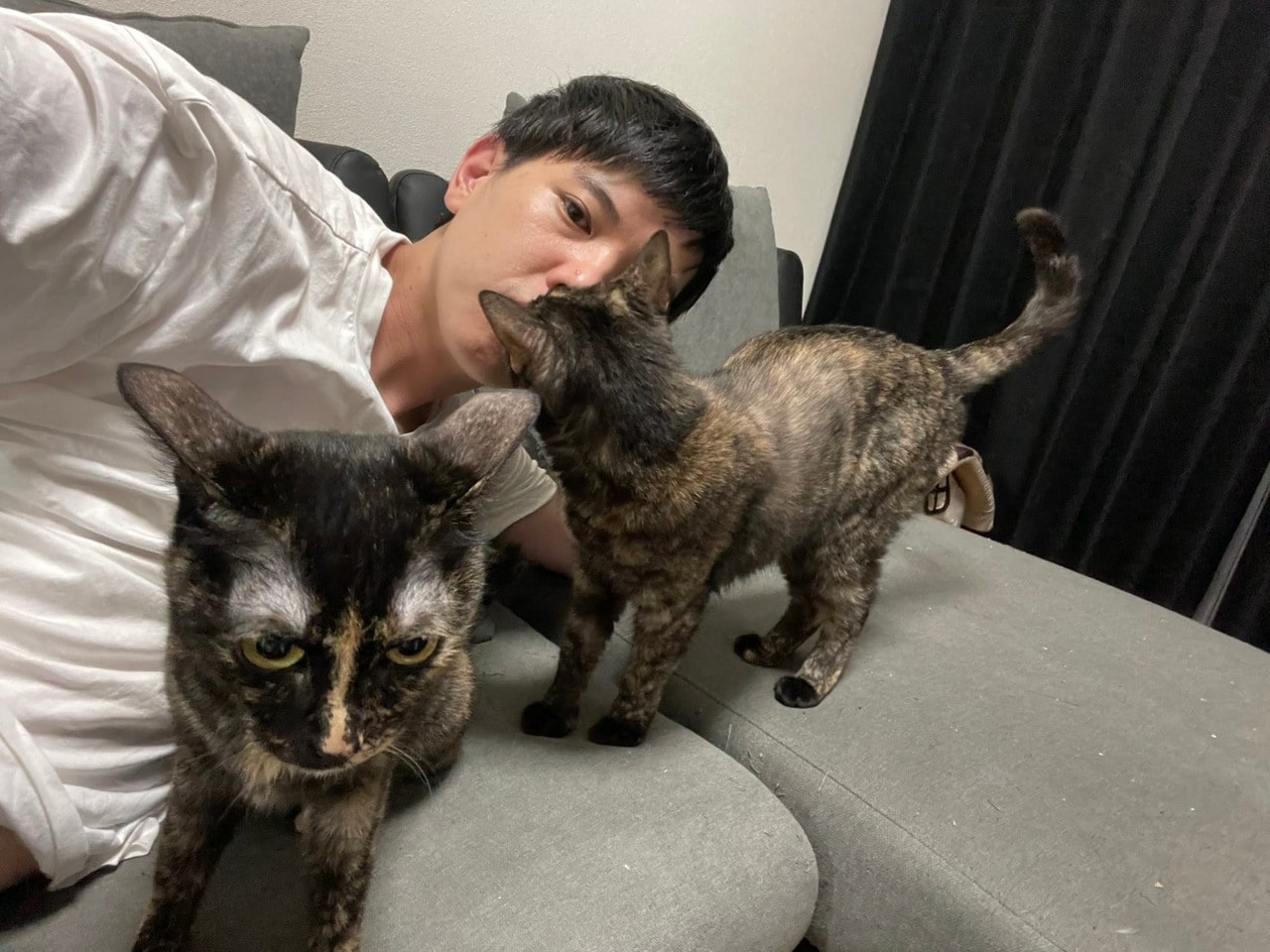 華山・やすいさんと愛猫のテンちゃん、センちゃん。