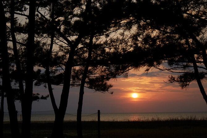 兵庫県 2023年版】 夏の絶景・風物詩10選 白砂青松が夕陽に染まる幻想的な光景 | 今こそ行きたい！ 「日本にしかない風景」再発見