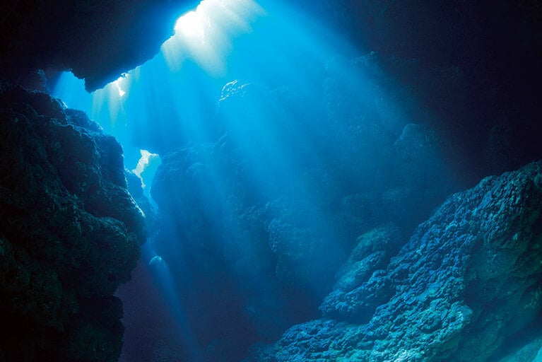 【徳之島】多様なサンゴが海に眠る徳之島周辺。ダイビングスポットとして人気が高い。
