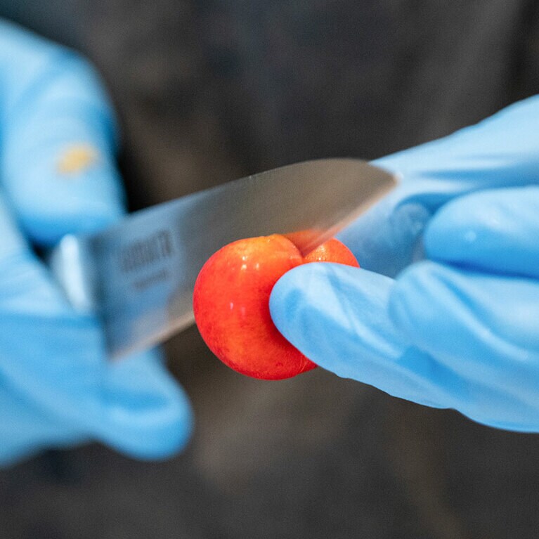 「さくらんぼフォレノワール」。