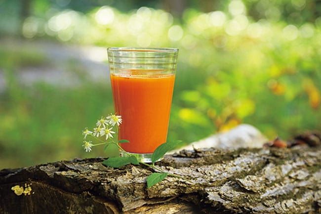 有機人参ジュースのファスティング滞在プランもある。