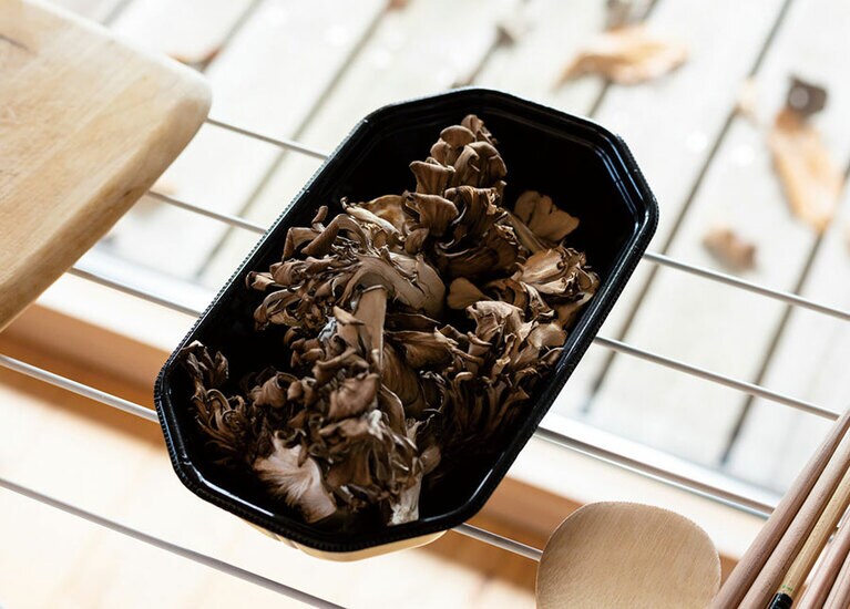 きのこを天日干し。