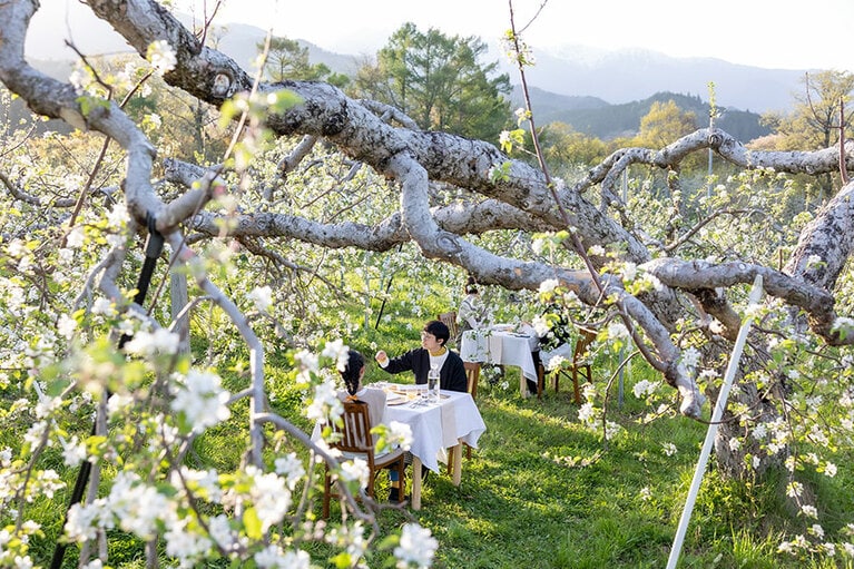 松川町には600を超える農園が。