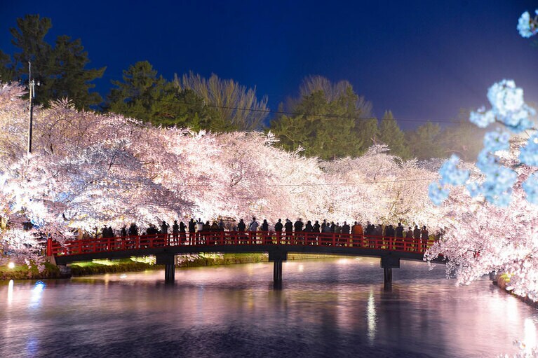 弘前公園の春陽橋。