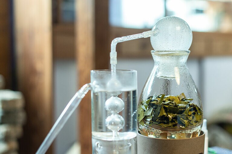 工房の片隅で爽やかな香りを漂わせていたのは、椿の葉。