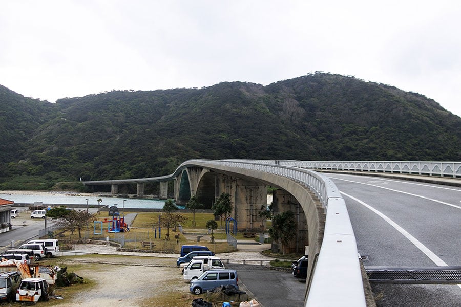 ケラマジカは慶留間島から橋を渡ってやってくることもあるとか。