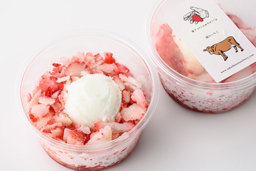 削りいちごとジャージーミルクのジェラート 2,520円（260ml×6個入り）／坂下strawberry