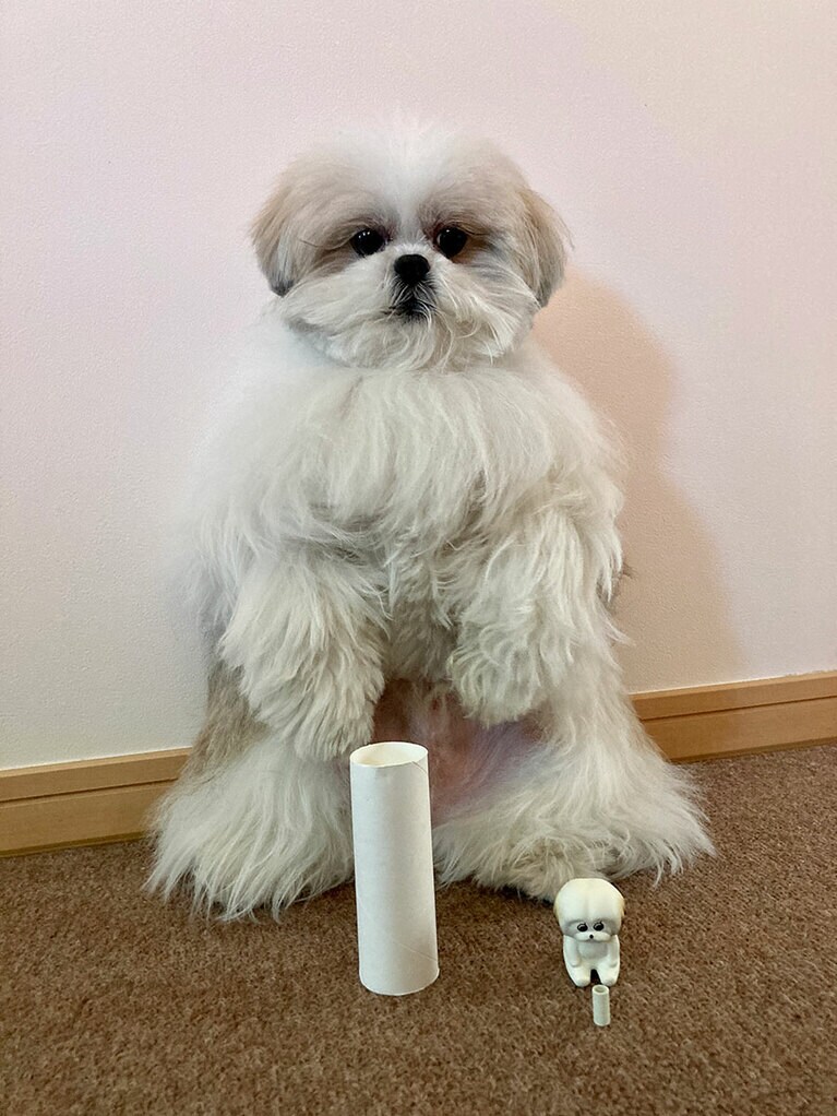 ミニチュアのマネをするモコゾウ。