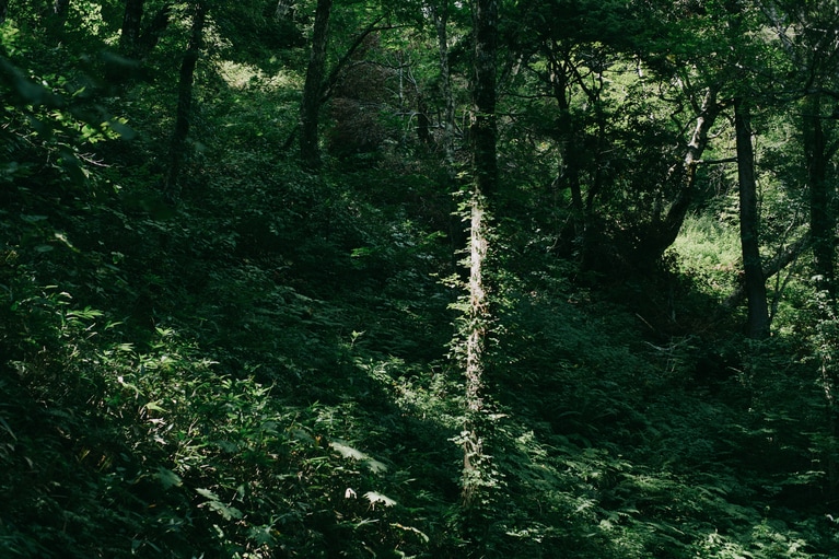 山の懐に抱かれるような感覚に。