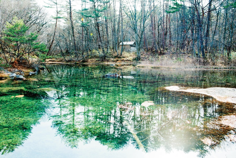 【ホテリ・アアルト】 どこまでも澄んだ沼で朝一番の空気を味わう。 photo: Akemi Kurosaka