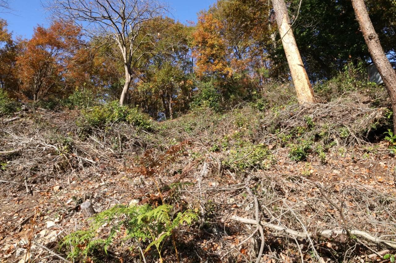 虎口を切岸下から見上げたところ