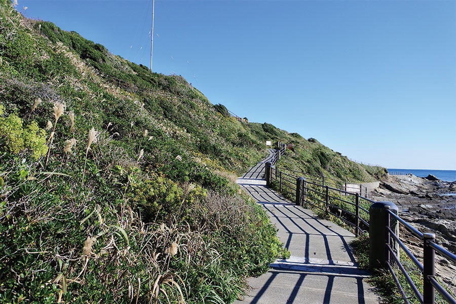 犬吠埼灯台周辺は遊歩道が整備されています。