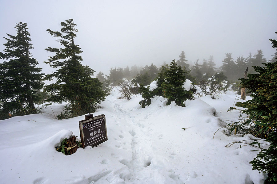 自然研究ができる遊歩道「八甲田ゴードライン」も、冬季はすっかり雪に包まれる。