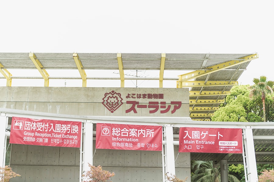 「よこはま動物園ズーラシア」。横浜市営地下鉄「中山」駅などの駅からバスで約15分で到着です。