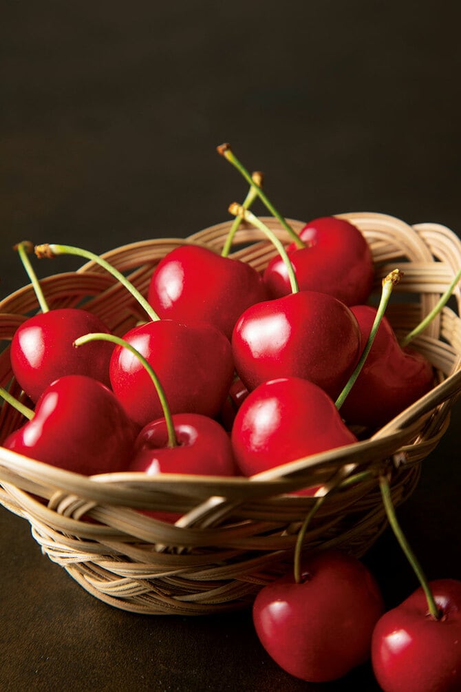 青森の高級さくらんぼ 「ジュノハート」に会いに行く