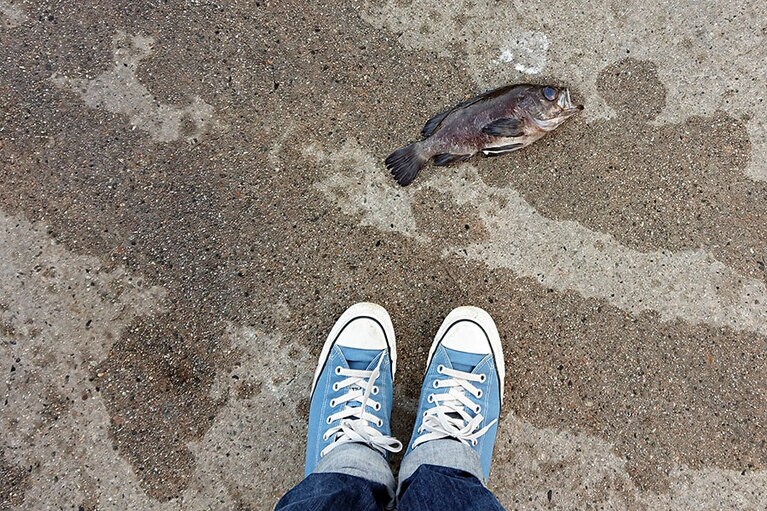 漁港の道端に落し物。これも七尾ならでは!?