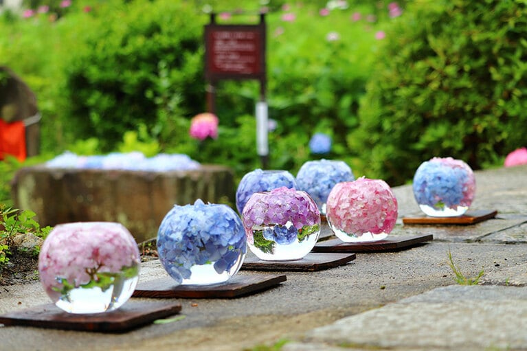 般若寺 アジサイの花手水。