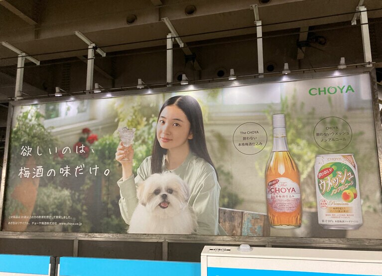 実物よりでっかいモコゾウ。