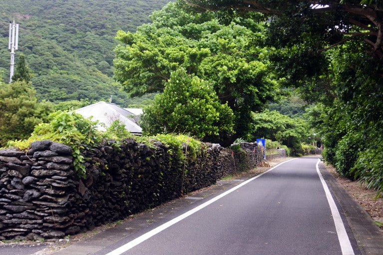 実久のサンゴを積んだ石垣。