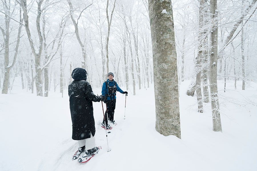 スノーシューを履いて雪の森をハイキング。