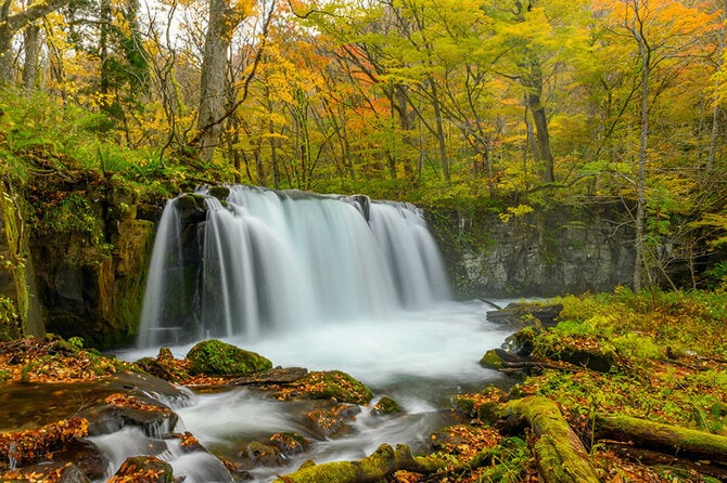 5ページ目)【青森県 2023年版】 秋の絶景・風物詩10選 アーチ橋から望む紅葉した山と渓谷 | 今こそ行きたい！ 「日本にしかない風景」再発見