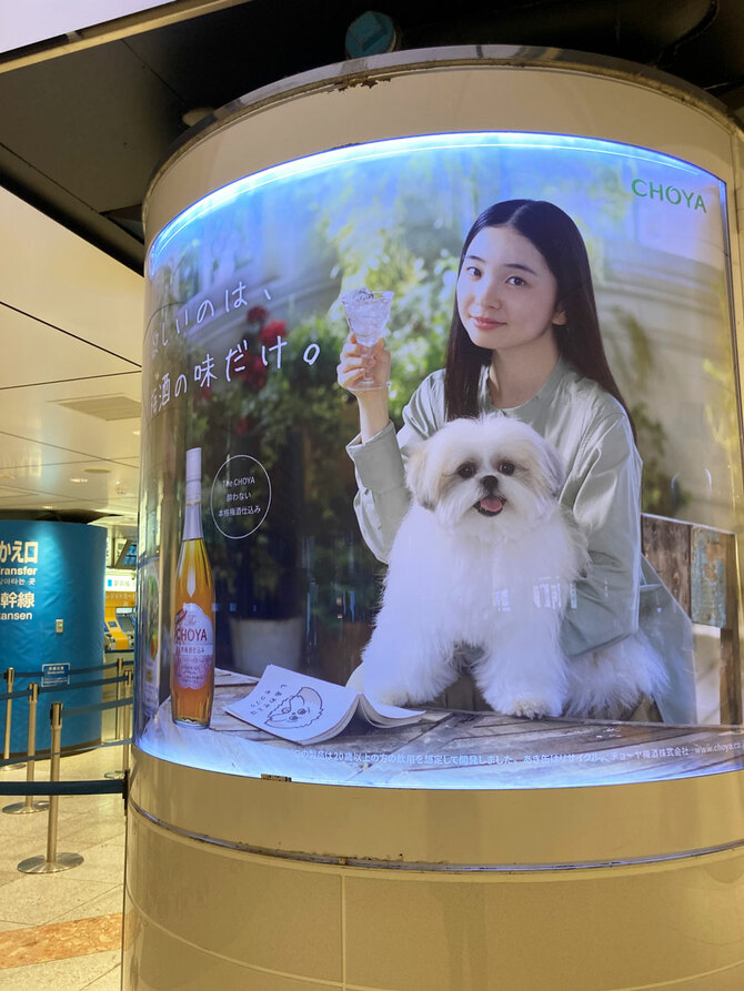 駅に巨大モコゾウが！ おもしろいぬ モコゾウ劇場 | おもしろいぬ