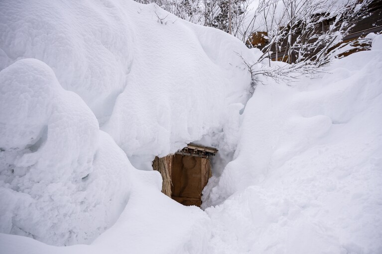 古くは『日本書紀』にも記録が残されている雪室。「里山十帖」の雪室は稲わら葺きの仮設型で、それが自然と雪に覆われるという仕組み。
