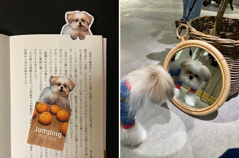（左）特典のしおりはお手手でページが挟めるようになってます。（右）店内の鏡で自分の顔を見つめるナルシストなモコゾウ。
