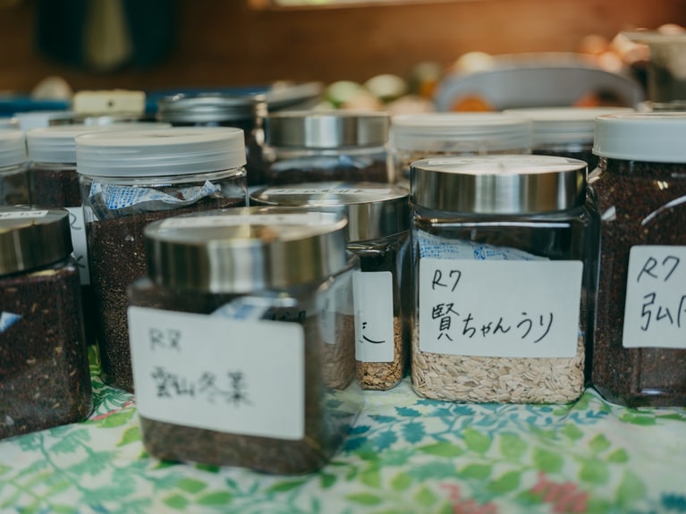 自家採種を重ねていくことで、その環境に適した、その土地だけの野菜が紡がれていく。