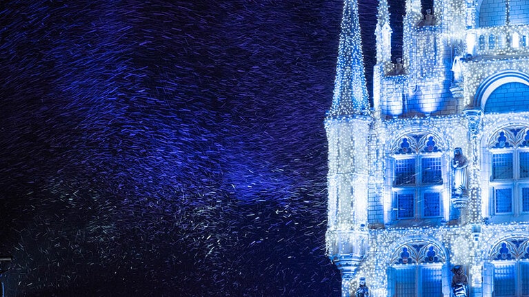 舞い落ちる雪の演出がスポットライトで照らされる様子はまさに幻想の世界。