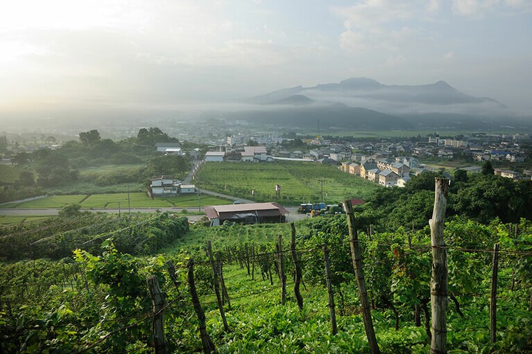 蔵王連峰の麓にあり、畑の広さは15ヘクタール。