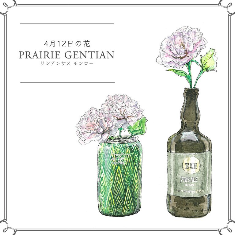 4月12日の花「リシアンサス モンロー」