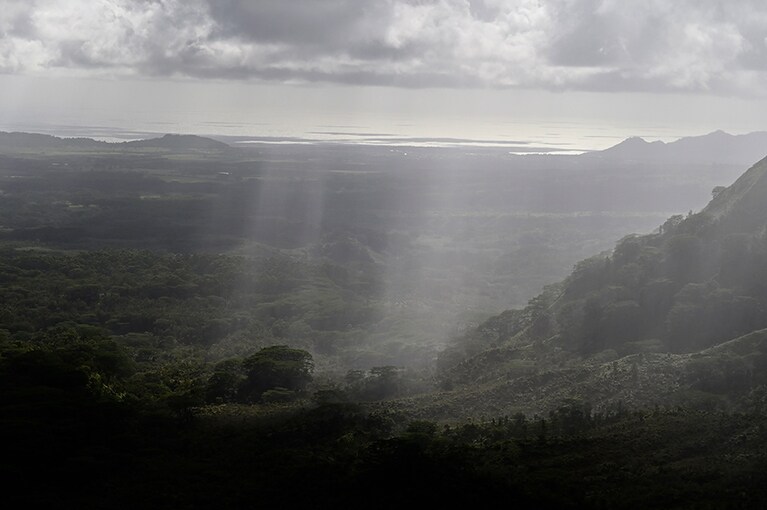 うっそうとしたジャングルの上を雨のカーテンが移動していく神秘的な光景。雨が去ると虹がかかる様子もドラマティック。