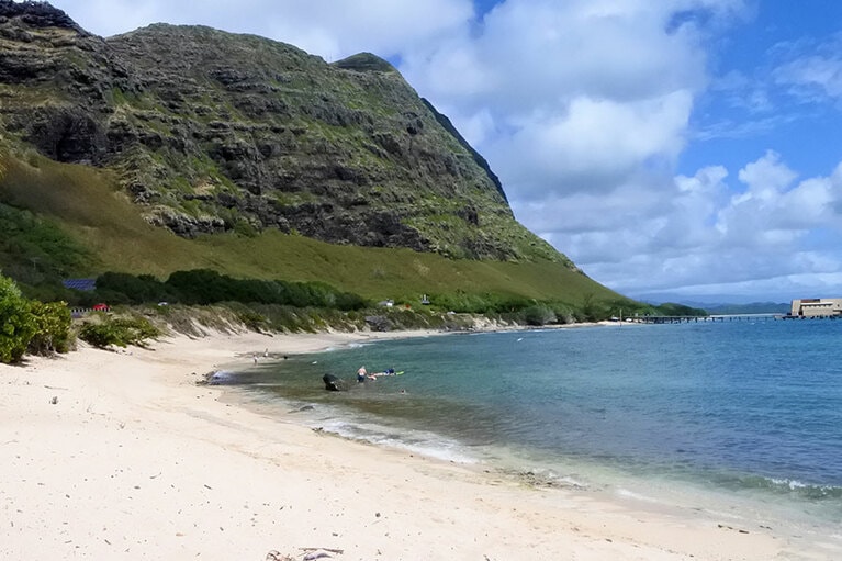 穴場感漂うベイビーマカプウ。