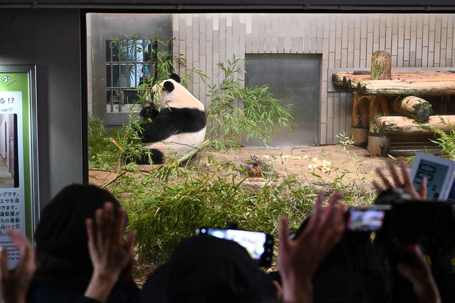 上野動物園でシャンシャンに手を振ってお別れをする観客。渡航前の検疫のため、扉の向こうの飼育係は防護服を着ている。2023年2月19日。