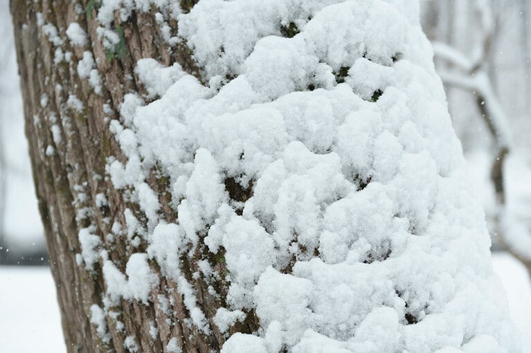 壮大な景色に圧倒されつつも、ミクロをじっと観察してみるのも面白い。