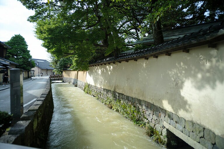 市内には55以上の用水が流れていて、そのなかでも最も古い歴史を持つのが大野庄用水。夏にはここでホタルが見られるそうです。