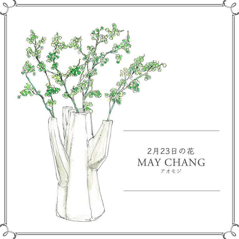 2月23日の花「アオモジ」